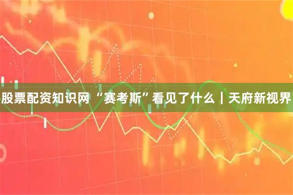股票配资知识网 “赛考斯”看见了什么｜天府新视界